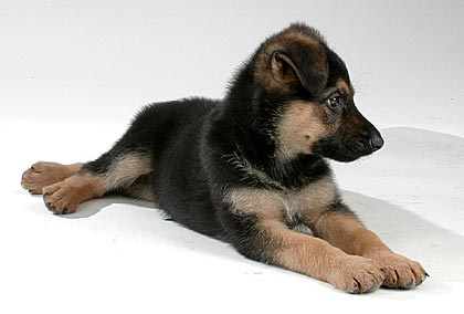 Ich: jetzt und fr&uuml;her